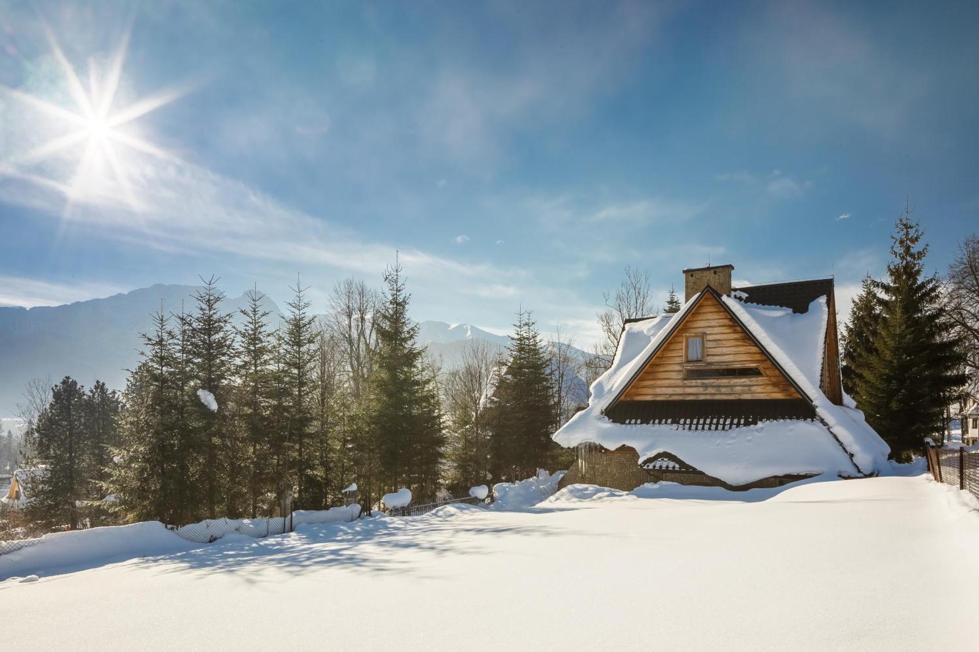 Malownicza Polana Centrum * Zakopane