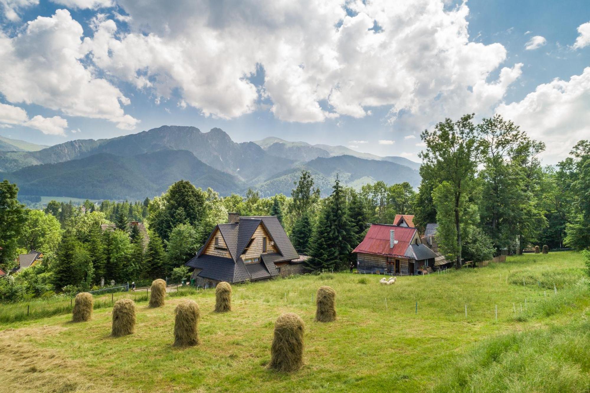 Rent Like - Malownicza Polana Domek alpejski Zakopane