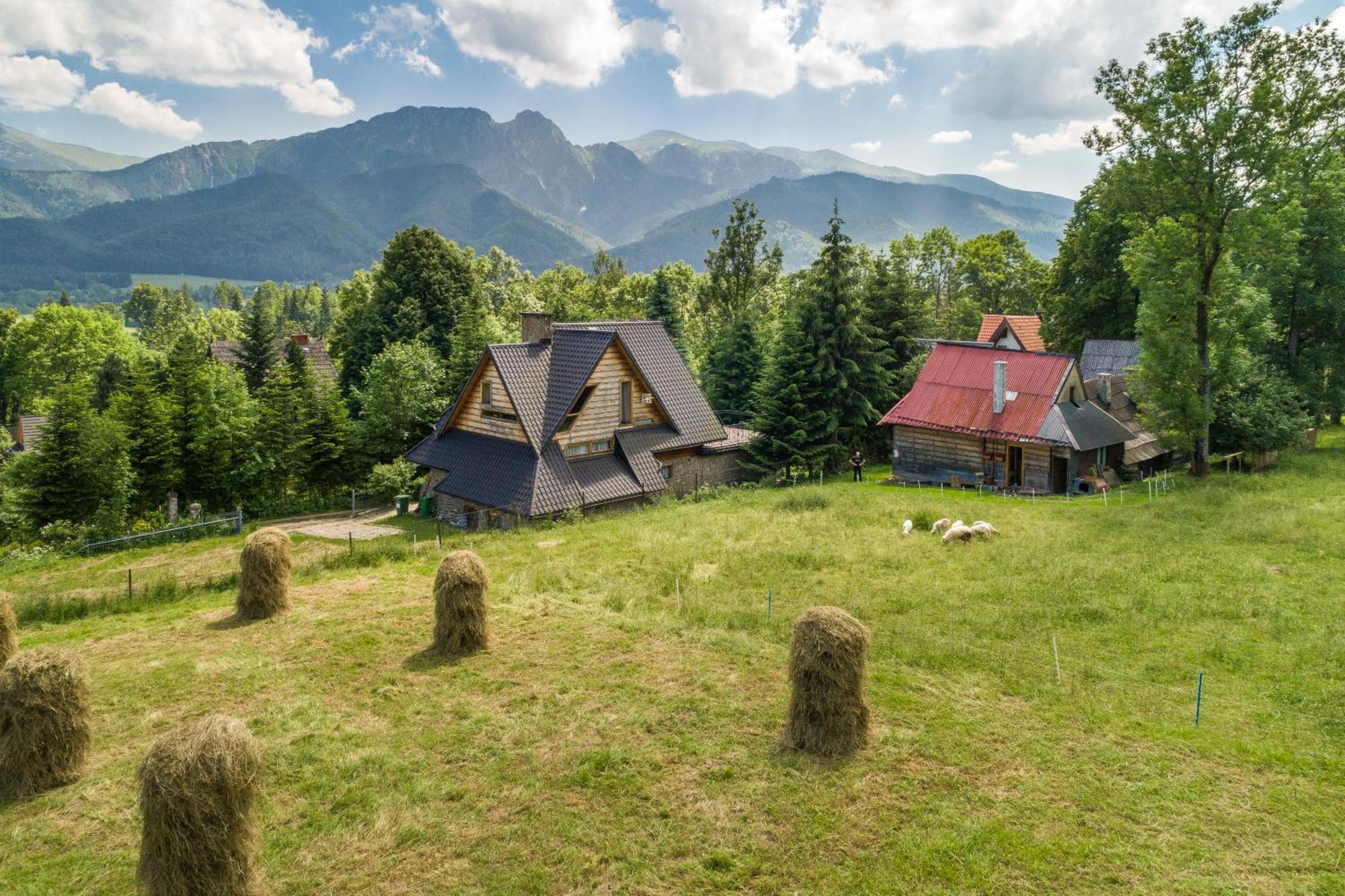 Domek alpejski Rent Like - Malownicza Polana Zakopane