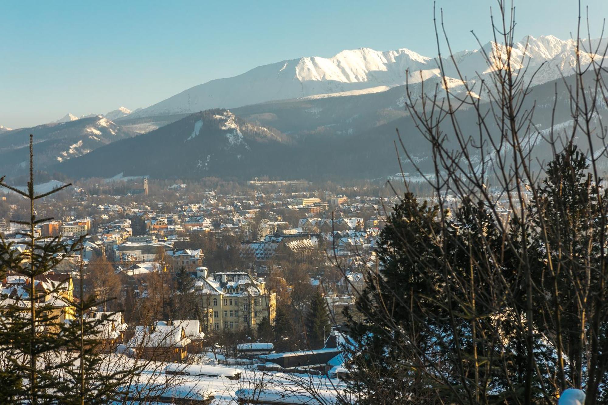 Rent Like - Malownicza Polana * Zakopane